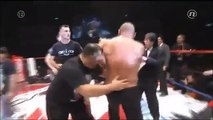 Fedor, Wanderlei & Sapp caught in Mirko Cro Cop’s brawl with Fujita in Japan