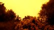 Orange Sky Forms Over British Columbia After Brush Fire