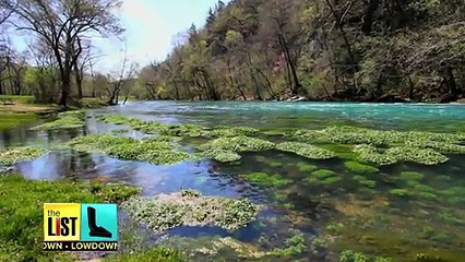 Eat Your Way To A Better Eco System