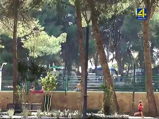 El pinar del parque municipal la glorieta de Altura amenazado