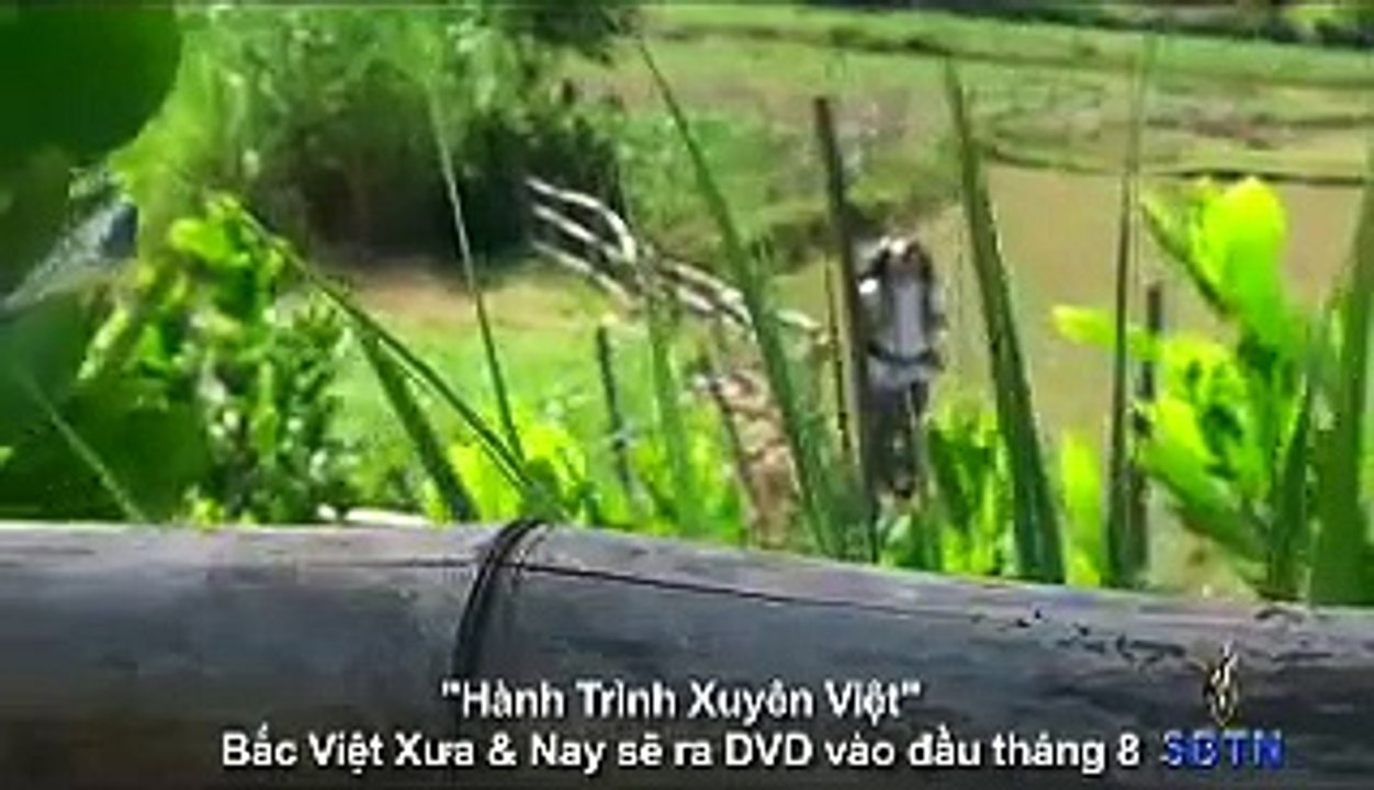 Phong Su Dac Biet: Phong Van Tac Gia Hanh Trinh Xuyen Viet