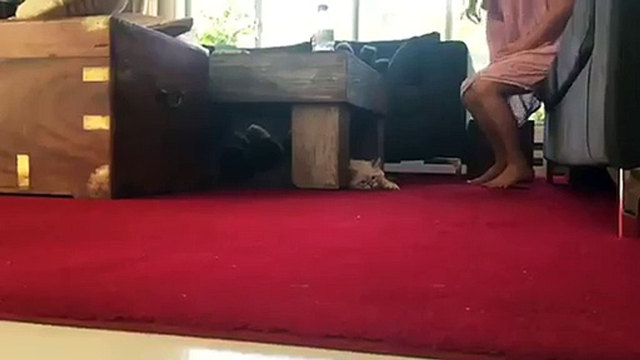 LANCÔME MIRACLE De RosKosh