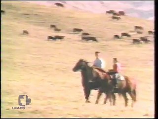 Crossfire promo (new 4 of 7)