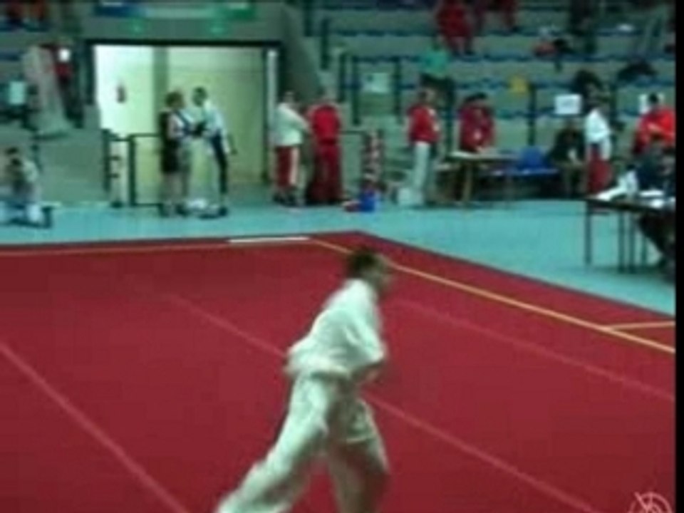 chang quan Zerrou Fares champ euro wushu