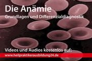 Anämie - Grundlagen und Differenzialdiagnose für die Heilpraktikerausbildung Teil 1