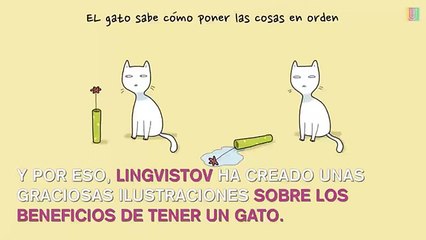 Humor: 10 beneficios de tener un gato en casa