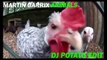 Martin Garrix - Animals - REAL ANIMAL REMIX