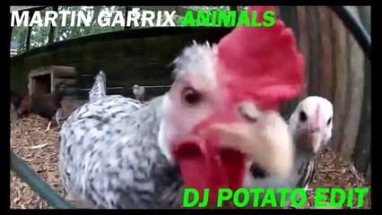 Martin Garrix - Animals - REAL ANIMAL REMIX