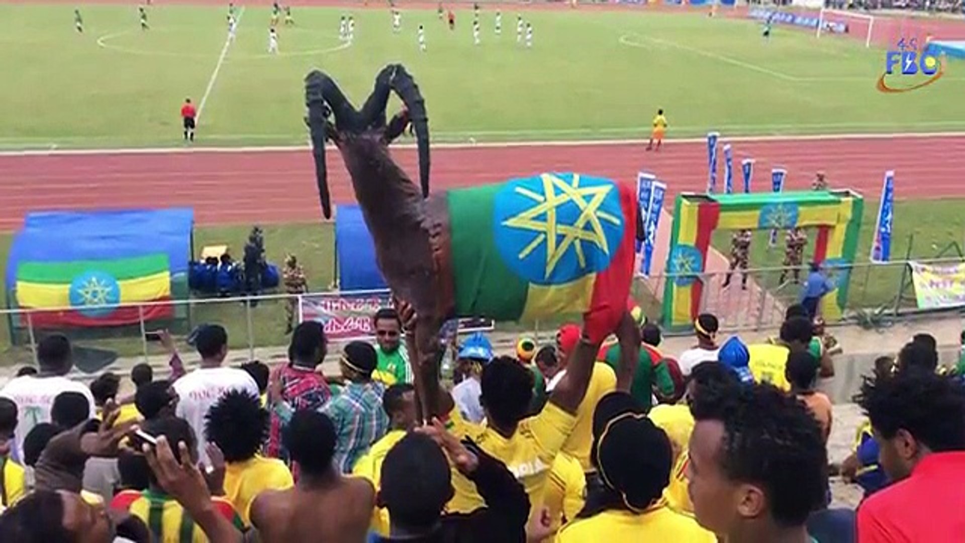 ⁣Ethiopian News - Sport - 23 June 2015
