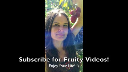 Fruit Haul~ Foraged Lychees,Mangoes, Guava..