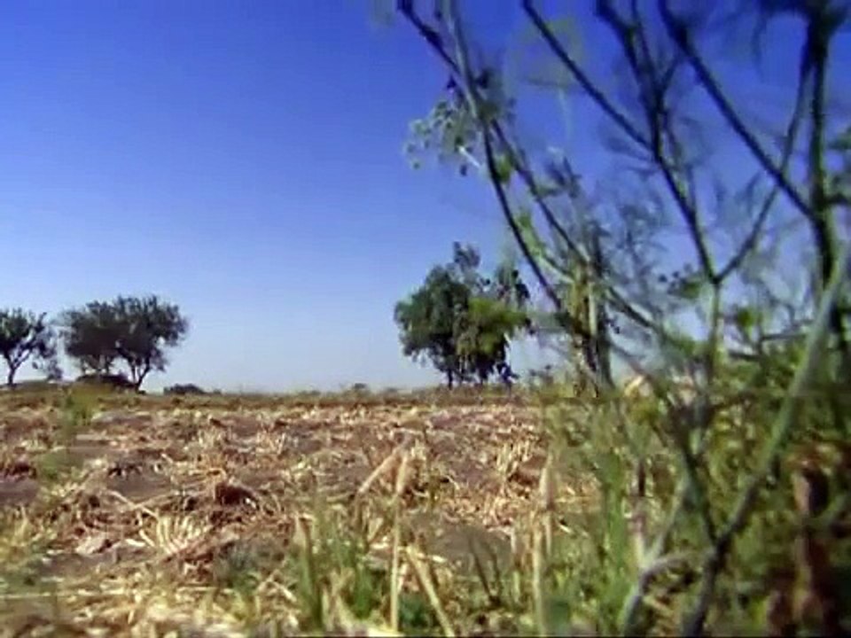 Strong evidence for Joseph's Tomb and Palace in Egypt!