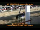 Carreras de Caballos El Padre Condor vs La Soraya.mpg
