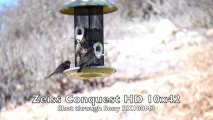 Zeiss Conquest HD 10x42 Binoculars Review and Comparison