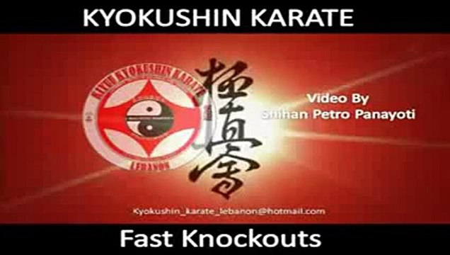 kyokushin karate fast knockouts