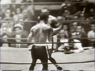 Pabst Blue Ribbon Classic Boxing