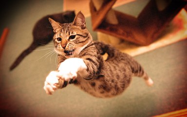 Photoshop Tutorial Instagram Hudson Effect