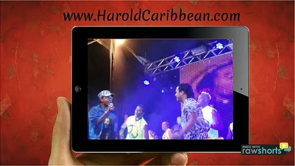 Harold Caribbean - International Reggae Entertainer