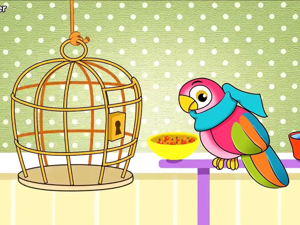 PAPEGAAITJE LEEF JE NOG - KINDERLIEDJES #1 app voor iPad, iPhone en iPod