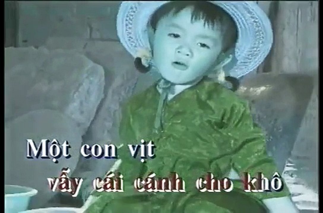 Một Con Vịt