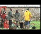 Un Eco trophées pour les Jardins de Cocagne en Vallée de Chevreuse !