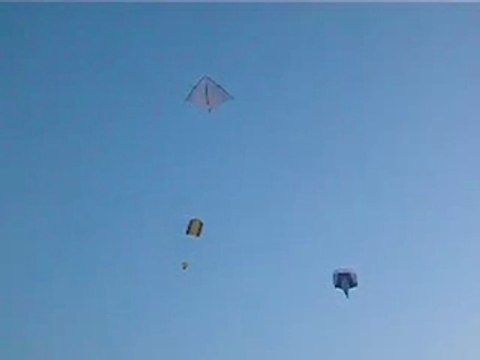 photo-cerf-volant.fr-3 cerfs volants Ensemble