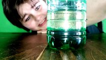 Xander Sims 4th Grade Oil And Water Science Project | 4th grade science projects,|  science project,