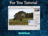 photoshop tutorials for beginners - Alpha Channels And Layer Masks