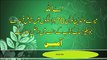 SURATS QURAN DUA MOTHER FATHER ماں باپ کے لے دعا سورہ قران