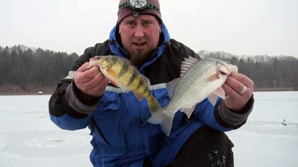 Ice fishing with a flasher!