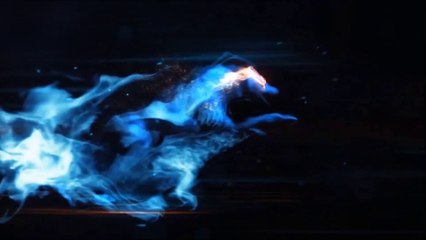 Aquarium by Lynx Magic and Gustavo Sereno - Card Magic Trick