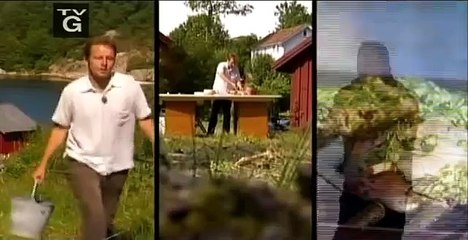 New Scandinavian Cooking with Andreas Viestad