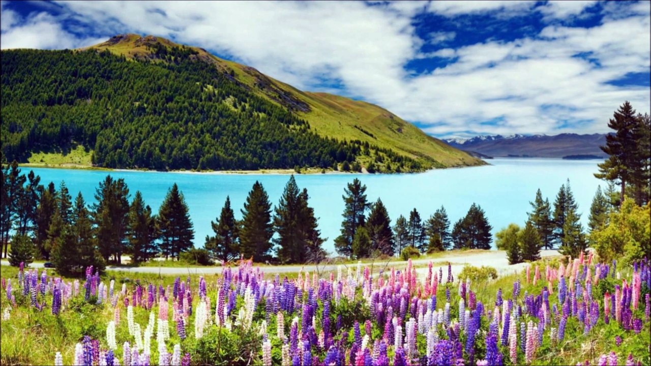 Peaceful Lake