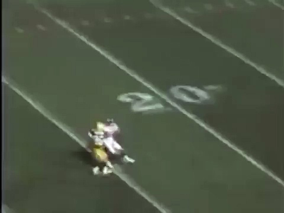 Amazing Antonio Freeman Catch