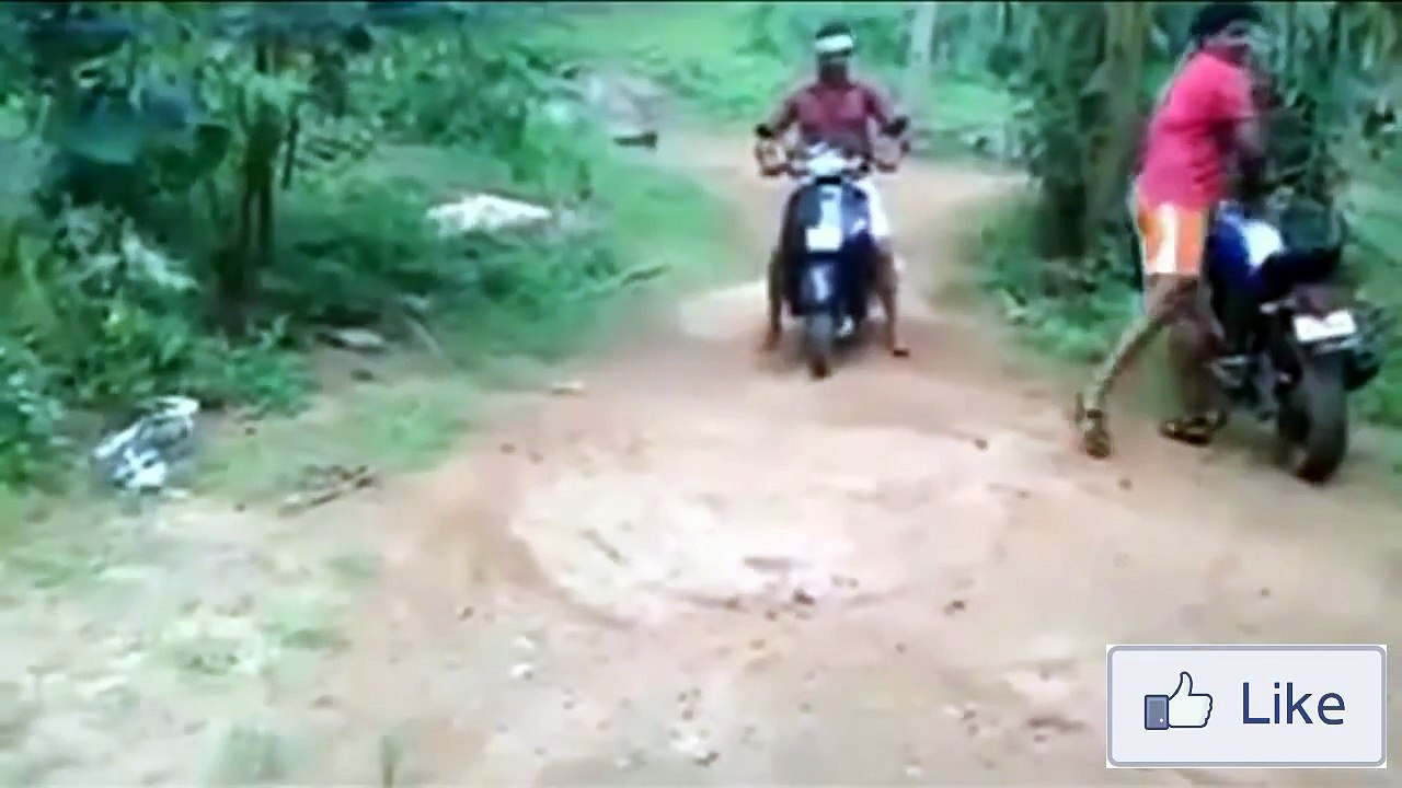 Epic Fails Compilation | Funny Videos 2015 | Best Fail #6