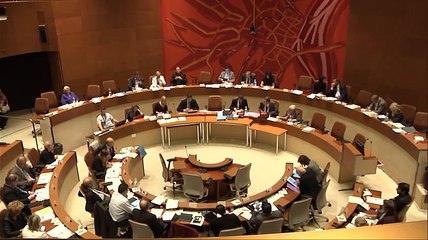 Conseil municipal du 22 juin 2015