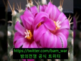 〔밤전〕특별할인,경기풀싸롱 즐달보증,청주풀사롱 상위8%,연산풀사롱