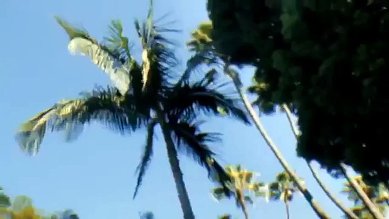 YASAKLI REKLAM!