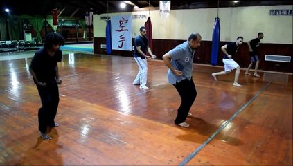 Crane Kung fu - WU BU