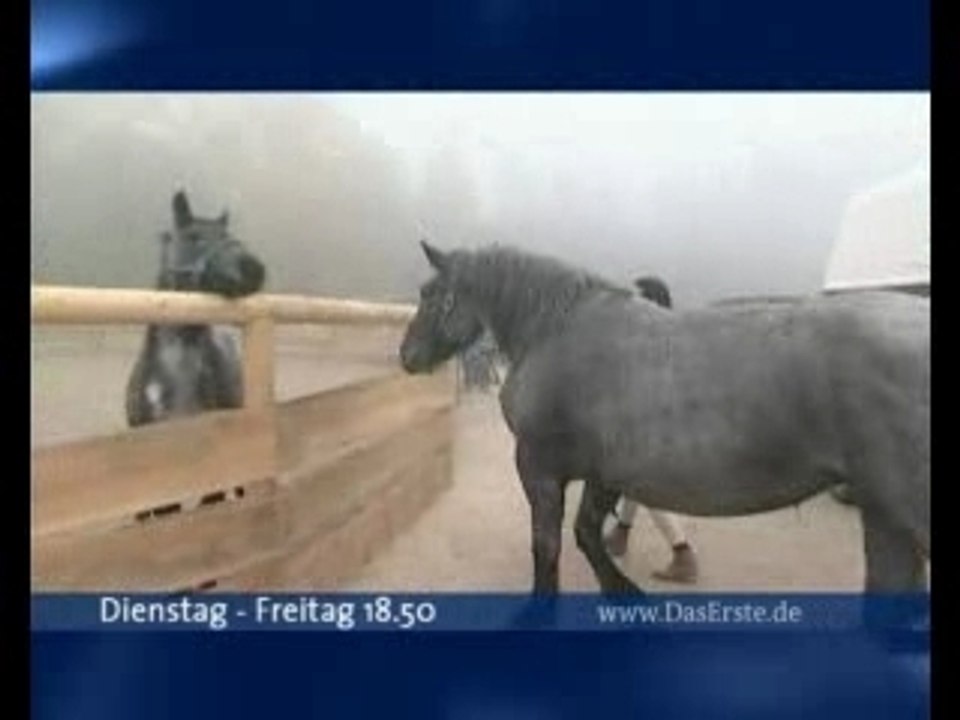 MET-tv.de     Die Tierretter