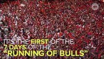 'Running Of The Bulls' Begins In Spain, Injures Many