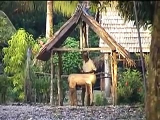 Solomon Islands Surfari