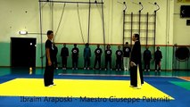 Chen Style Taiji Quan - Fighting Techniques Demonstration - 陈式 太极拳 - Combat Tai Chi