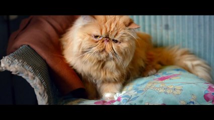 Beijei Uma Garota - Trailer legendado