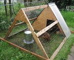 Where to buy used chicken coops for sale| Safe site online to buy used chicken coops for sale