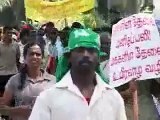Jaffna Tamils urge LTTE to release Tamils - REUTERS (English news)
