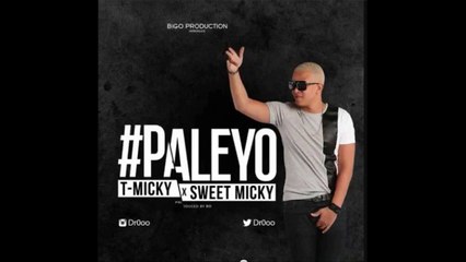 Pale Yo - T-Micky feat. Sweet Micky [New 2014  Single]