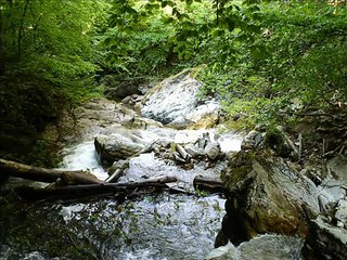 صور المانيا تركيا النمسا هولندا