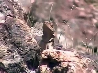 Yuma, Arizona and environs