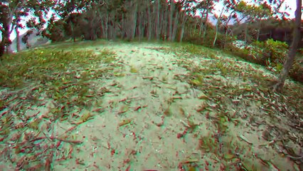 Terceira dimensão, 3D, Taubaté, SP, Brazil, bikers, mares, praias, Ubatuba, SP, Brazil, 1 (26)