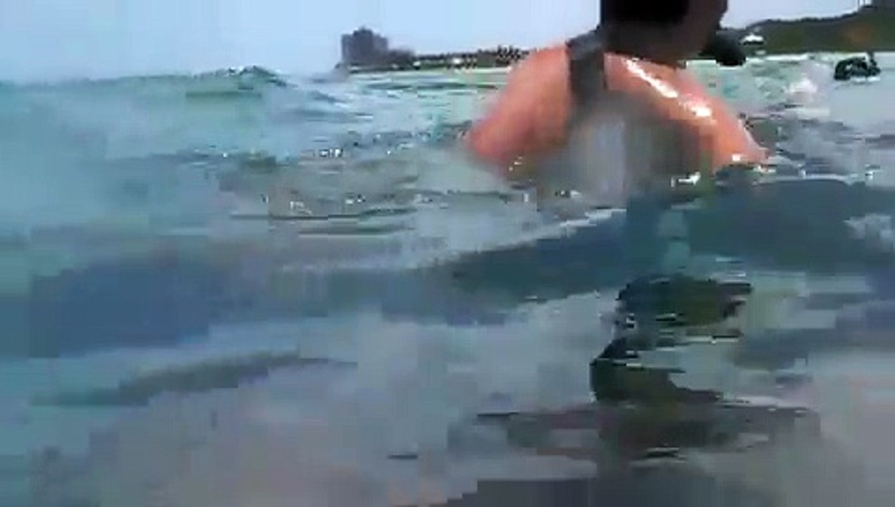 Snorkeling Red Reef Park, Boca Atlantic Boat Rentals